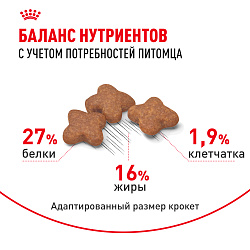 Cухой корм Royal Canin Mini Adult (МИНИ ЭДАЛТ) 8 кг